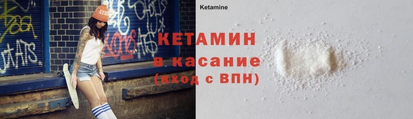 крисы Баксан