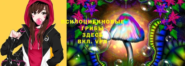 крисы Баксан