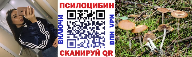 Псилоцибиновые грибы ЛСД  Балашов 