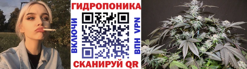 Бошки марихуана ГИДРОПОН Балашов